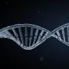 DNA strand 