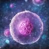 Cells 