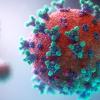 Visualization Of The Covid-19 Virus 