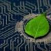 A leaf on a circuit board