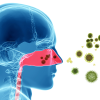 smell diagram