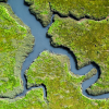 Aerial view of a wetlands area