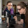 Faculty and student working in the lab together 