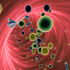 Rendering of blood and cells inside the body.