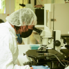 Jared Lewis works in COSINC lab