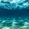 Deep Ocean