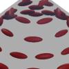 Liquid crystal elastomers actuated by electrical field