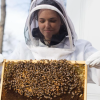 Orit Peleg in a beekeeping suit, holding a section of beehive
