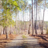 Land in Alabama for the project