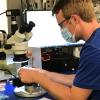 Parker Mcdonnell and microscope