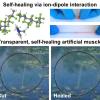 Visual of the self healing material.