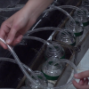 A student adjusts hoses on the rain machine in the lab
