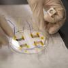 lab on a chip