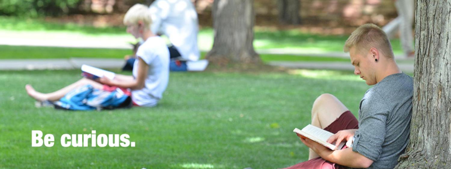 male student studying under a tree