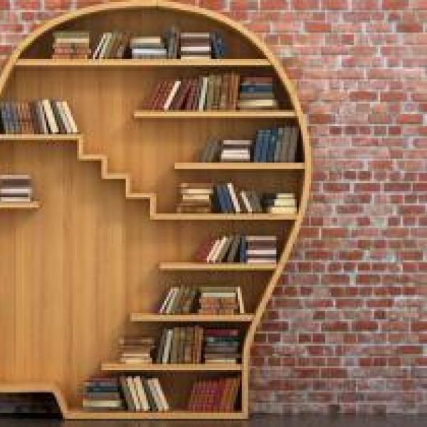 Bookcase shaped like a head
