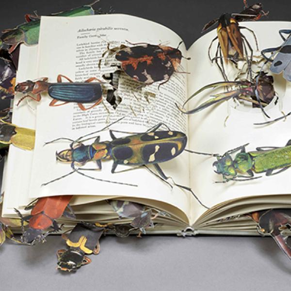 Insects crawling out of a book