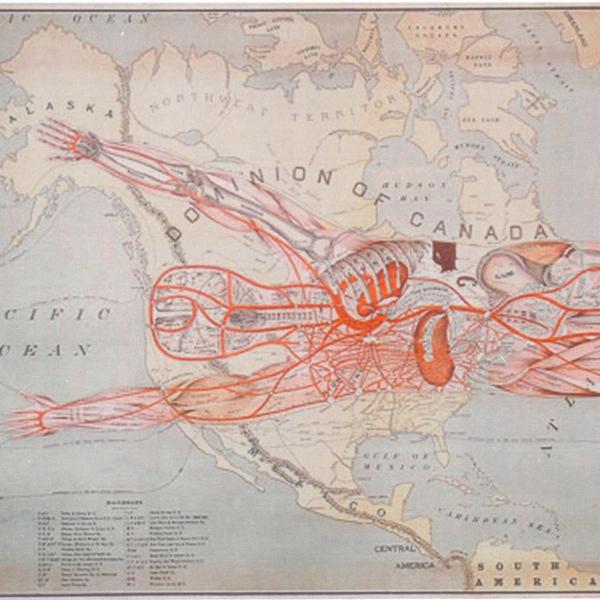 Outline of a human body over a map of the world