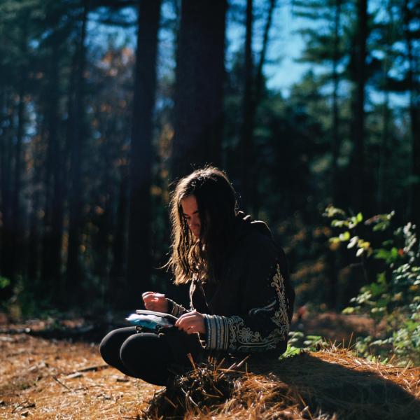 writing in the woods