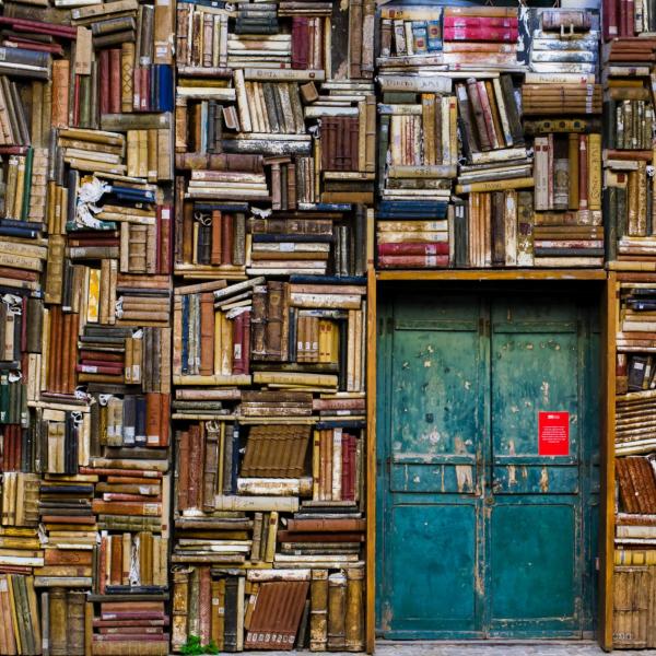 a blue door surrounded by books