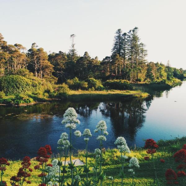 ARBORETUM