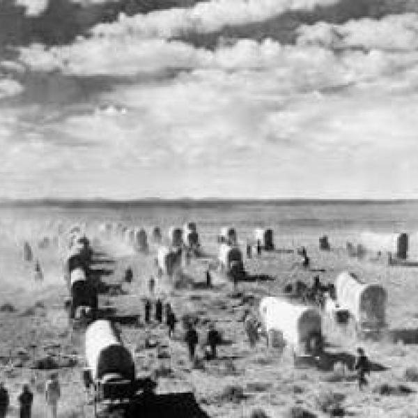Covered wagons crossing a plain