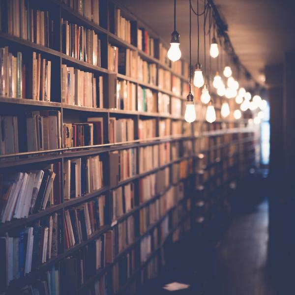BOOKS AND LIGHTBULBS