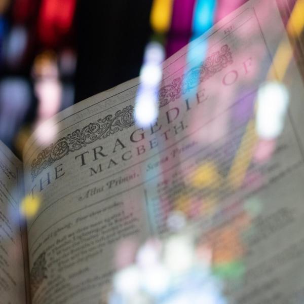 shakespeare book
