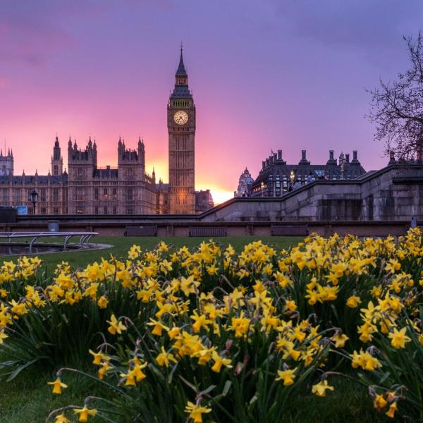 london flower garden