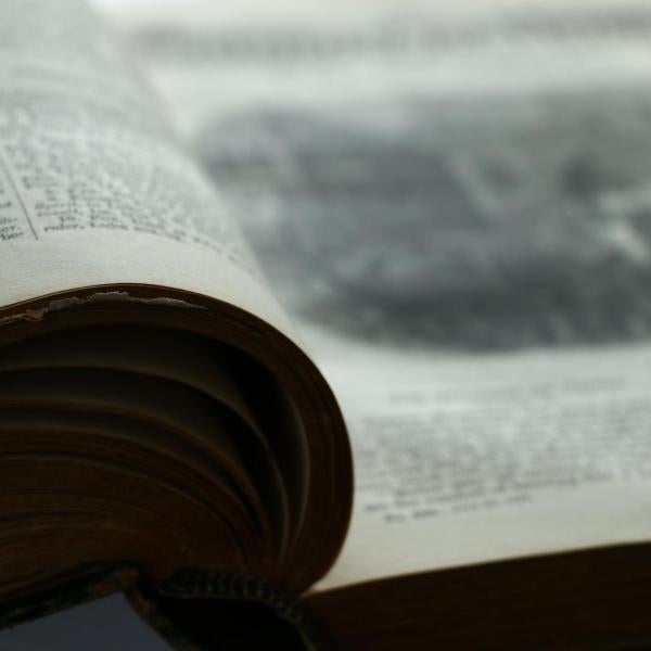 a close up of a page from the middle of a book