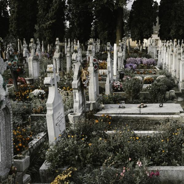 A series of tombs with flowers