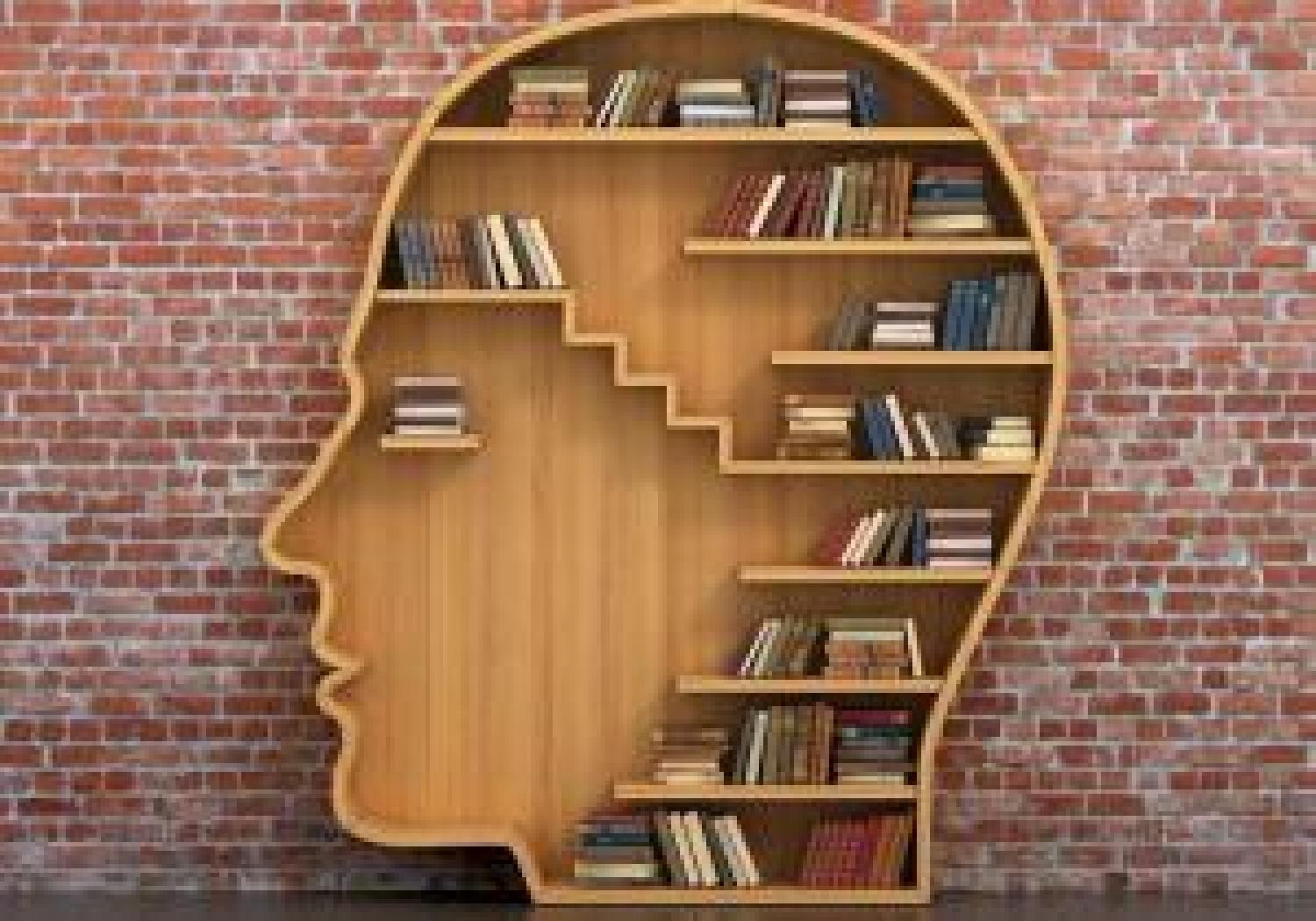 Bookcase shaped like a head