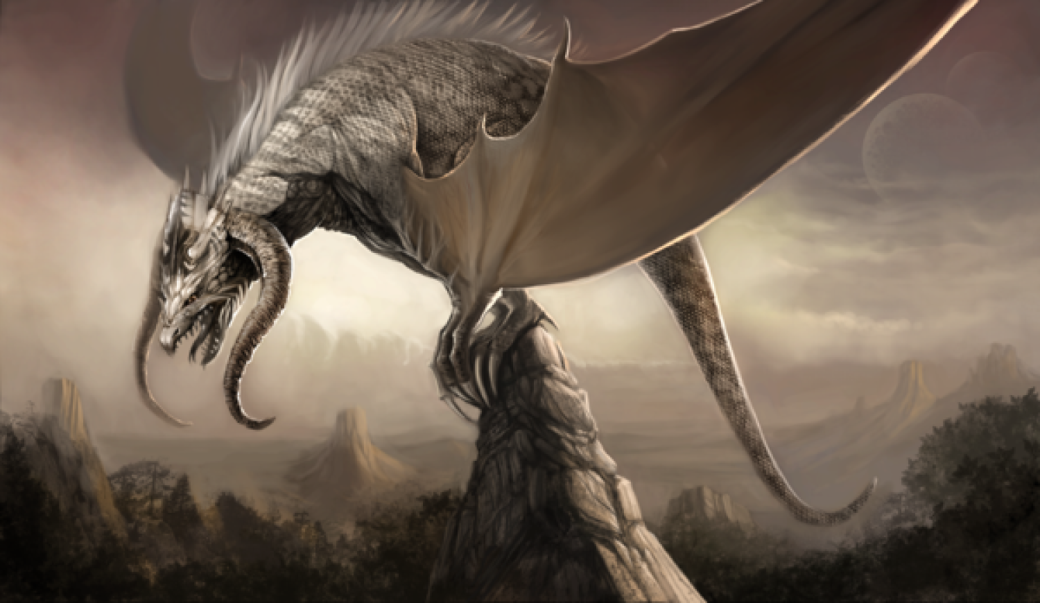 Illustration of a dragon
