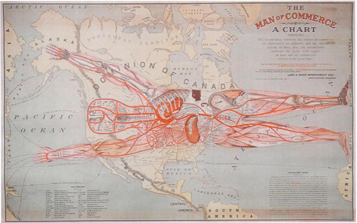 Outline of a human body over a map of the world