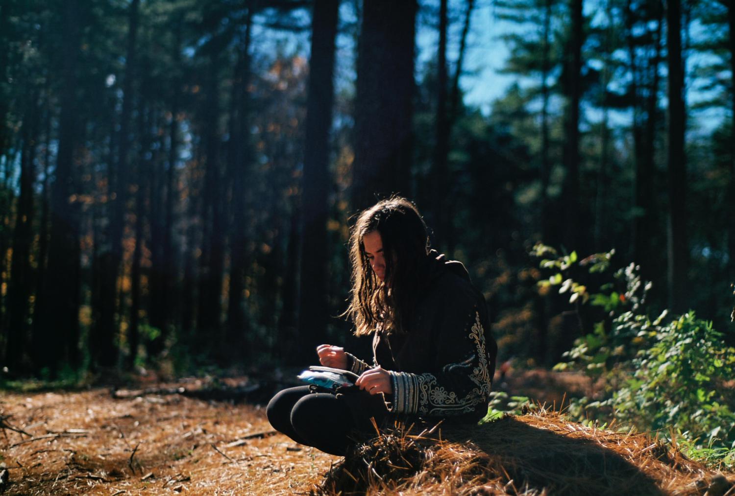 writing in the woods