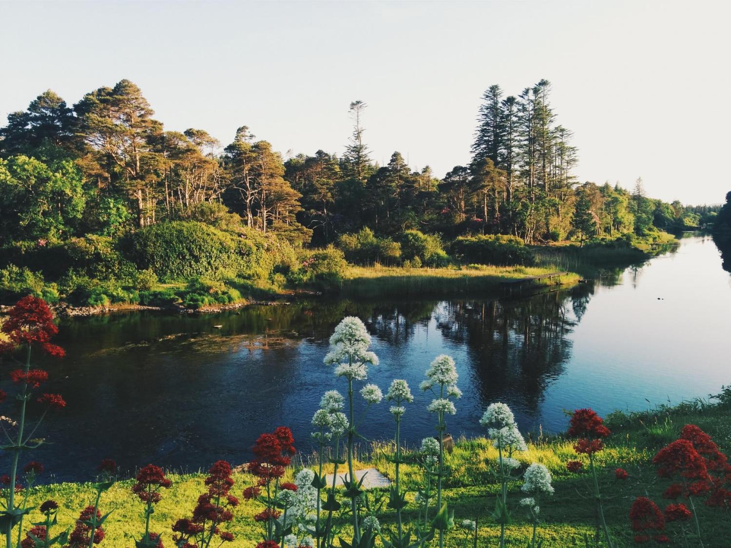 ARBORETUM