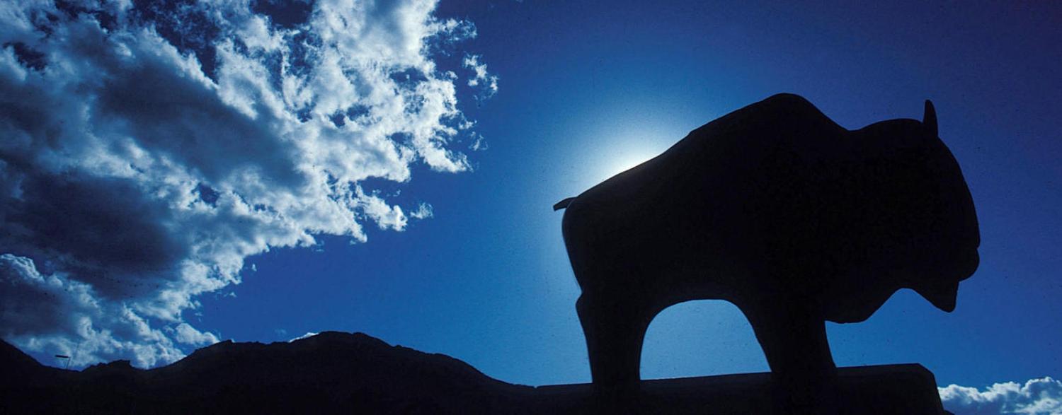 a buffalo statue backlit by the sun on campus