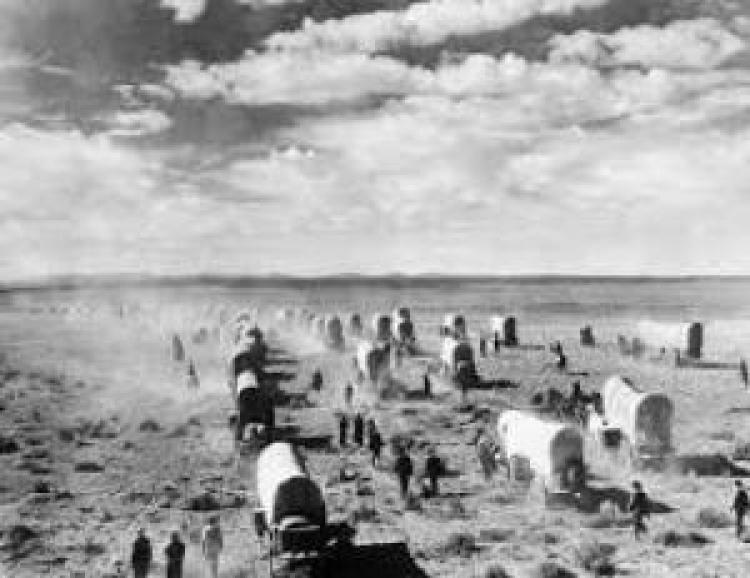 Covered wagons crossing a plain