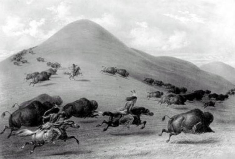 Native Americans on horseback chasing buffalo