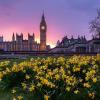 london flower garden