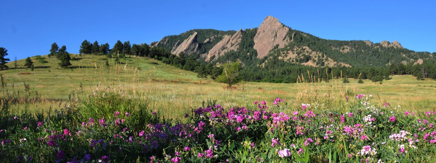 The Flatirons in Spring