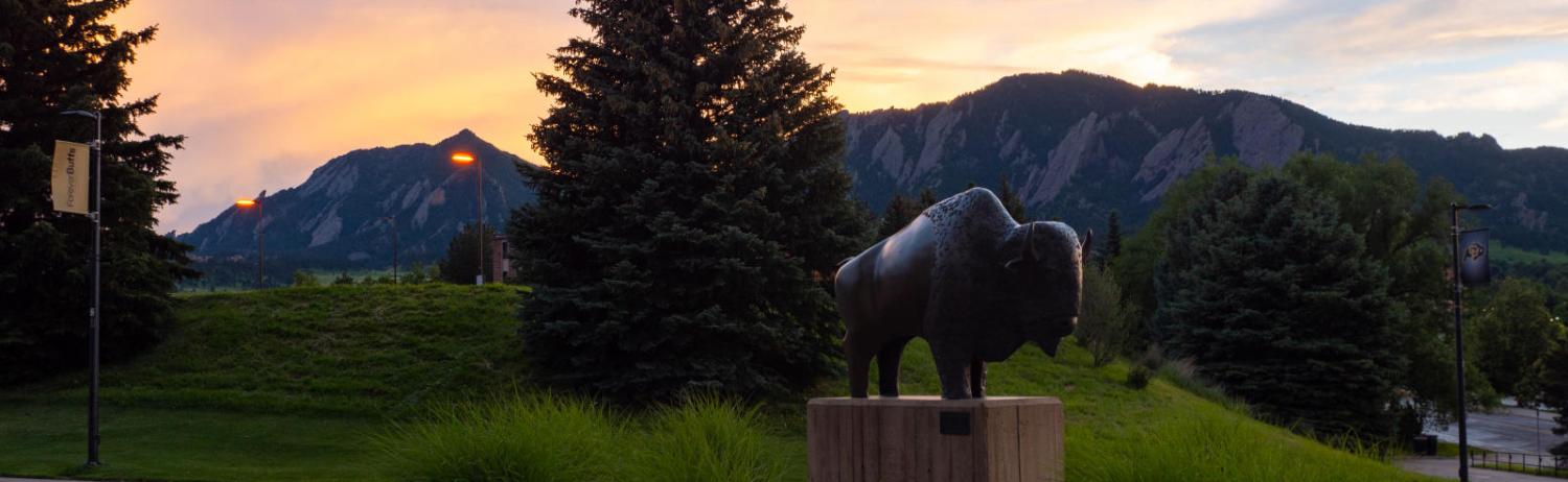 A statue of Ralphie at sunset with the Flatirons in the background.