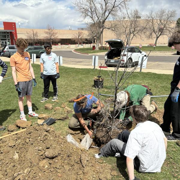 Students plant trees