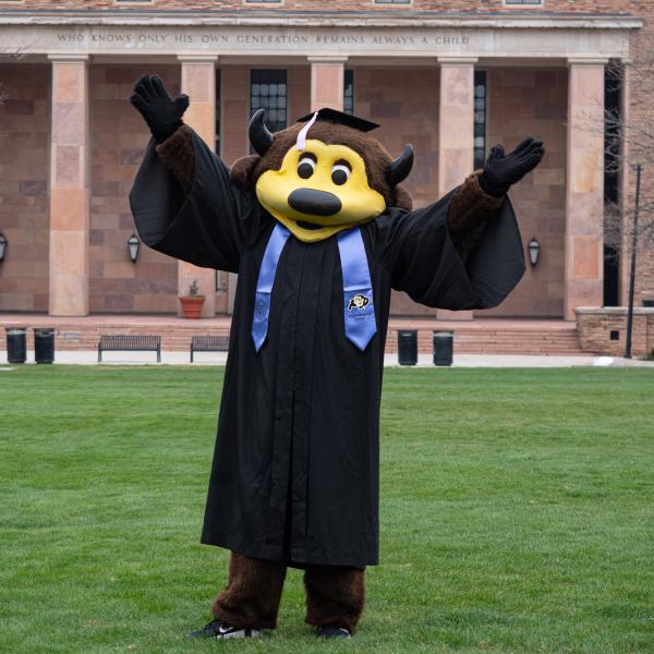 Chip the buffalo in ENVD regalia