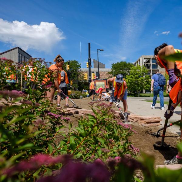 Environmental design students create pollinator garden on campus