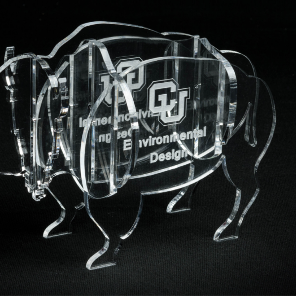 Acrylic buffalo award
