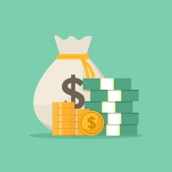 Money bag illustration