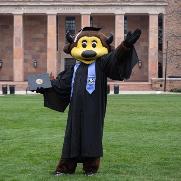 Chip the mascot in ENVD regalia