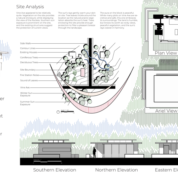 Student rendering of an architectural design based around native grasses.