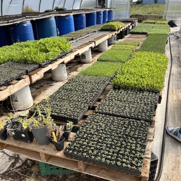 Esoterra Farms in Boulder, Colorado