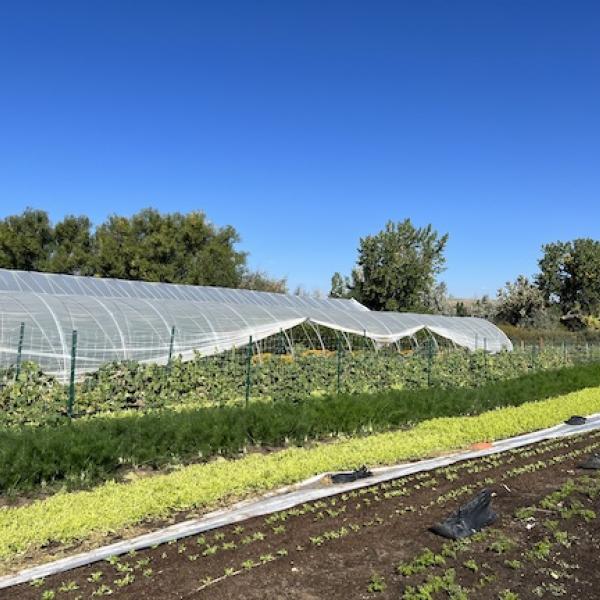 Esoterra Farms in Boulder, Colorado